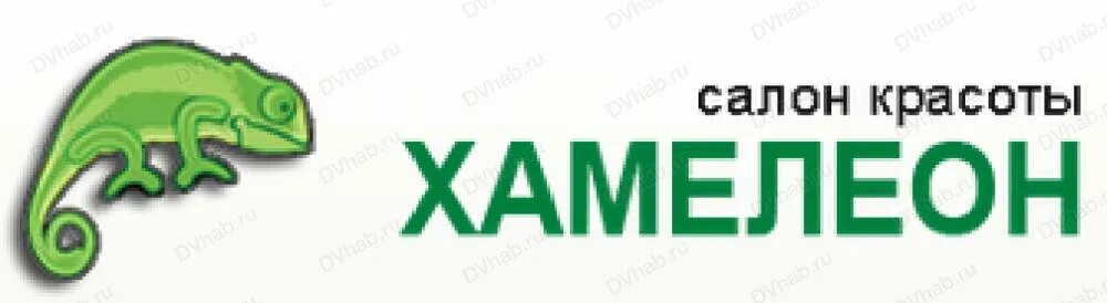 Хамелеон салон красоты. Хамелеон Хабаровск. Парикмахерская хамелеон. Хамелеон Кемерово. Фирма хамелеон.