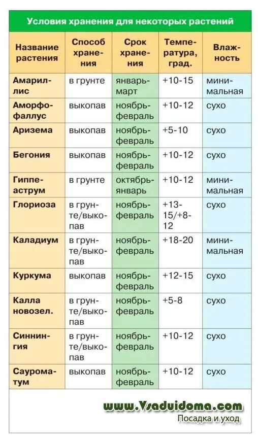 Условия хранения овощей в подвале. Условия хранения влажность. Условия и сроки хранения картофеля. Условия хранения овощей таблица.