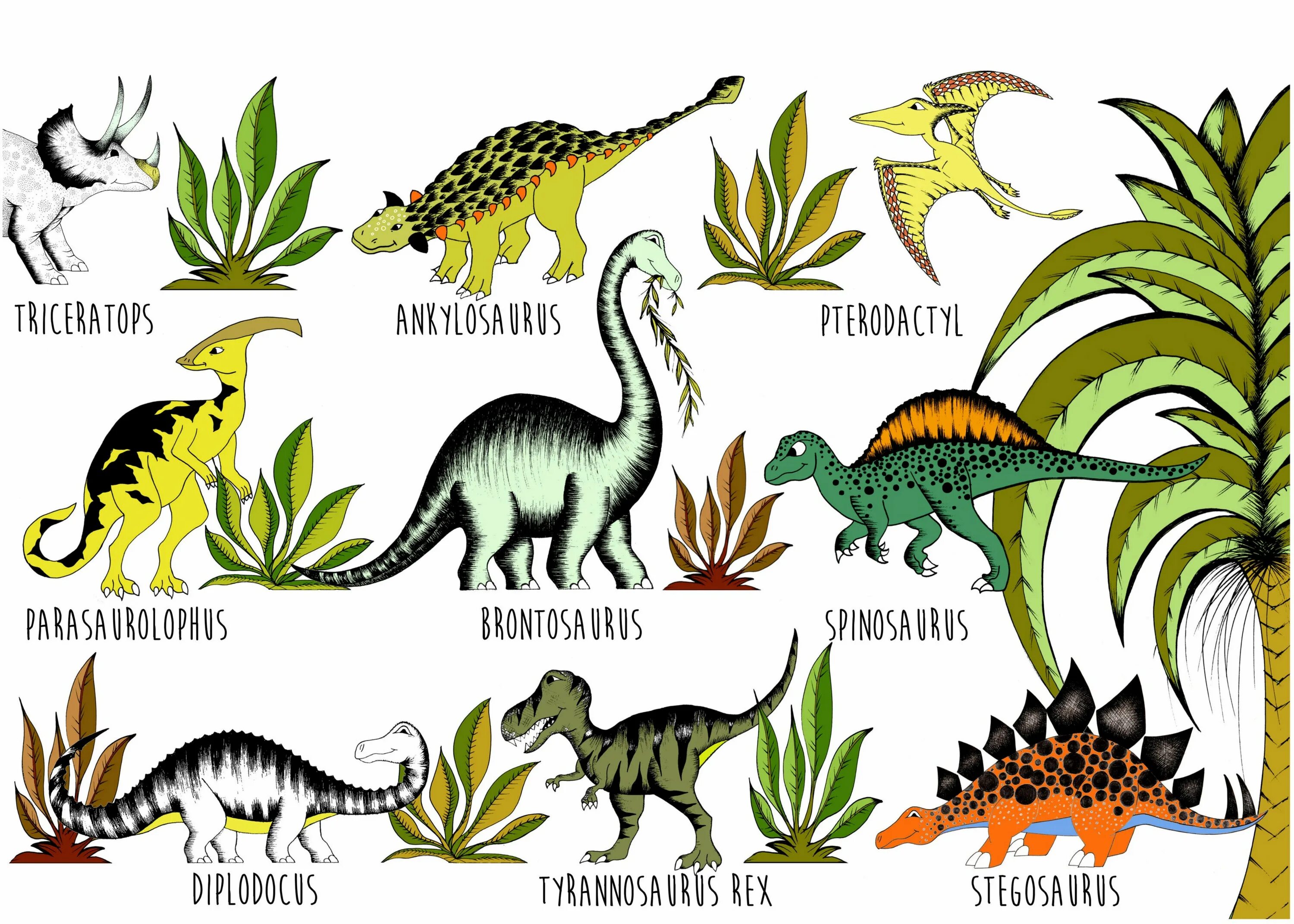 Dinosaur перевод на русский. Dinosaurs names. dinosaurus chart. dinosaurs pictures with names. dinosaurs names in english.