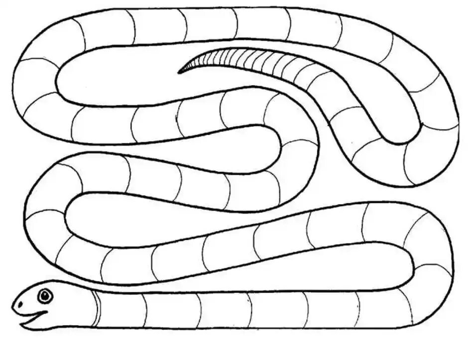 Задания со змейкой. Змея раскраска. Раскраска змеи для детей. Змея задания для детей. Змея раскраска для детей.
