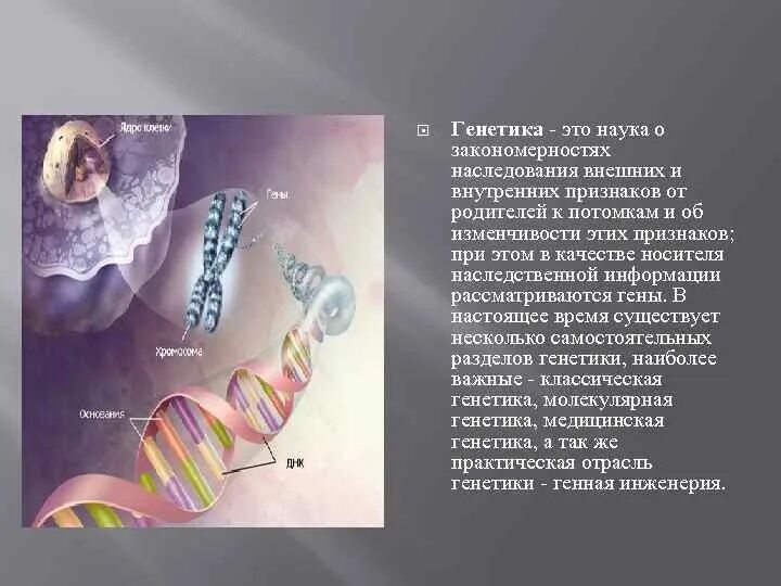 Изменение наследственной генетической информации. Генетика это наука о. классическая генетика. качество наследственной информации. изменение генетической информации это.