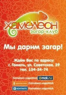 Хамелеон гомель