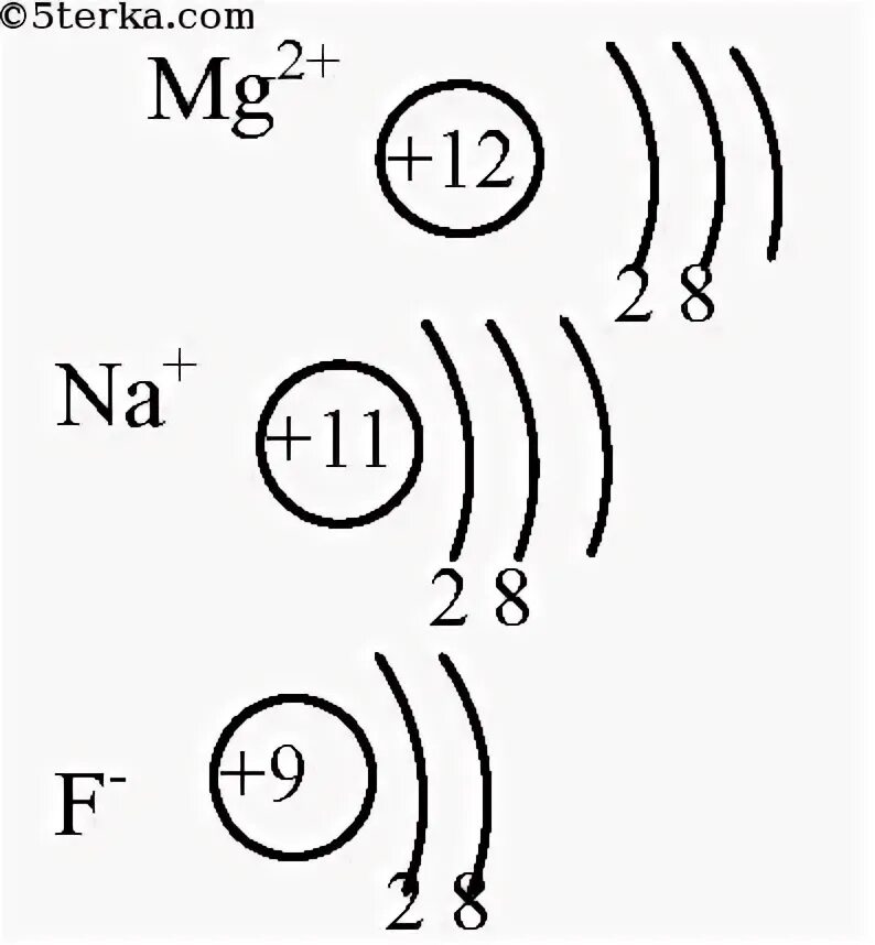 Изобразите схемы строения атомов магния. Схема строения Иона калия. Схема строения Иона магния. Схема атомов и ионов калия.