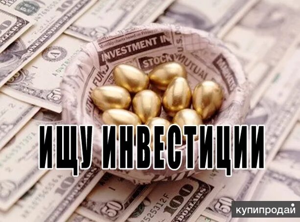 Ищу инвестиции. Ищу инвестора картинка. Инвесторы ищут проекты. Инвестиции мастер класс. Ищу сбыт