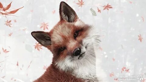 Sweety fox на телефон