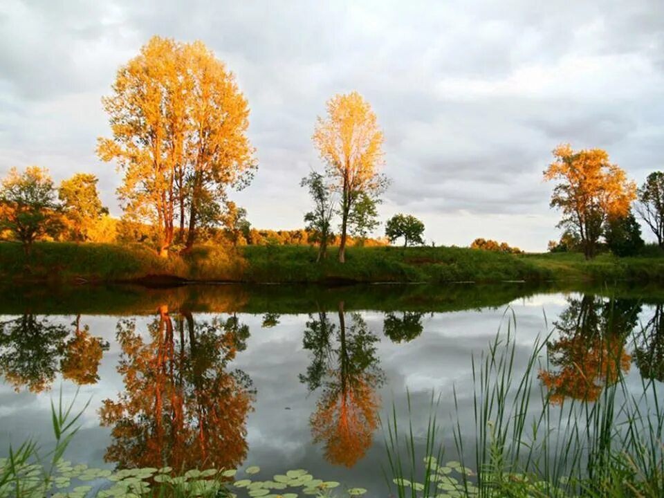 Осенние деревья у воды. Осень отражение в воде. Осенний пейзаж с отражением в воде. Отражение деревьев в воде.