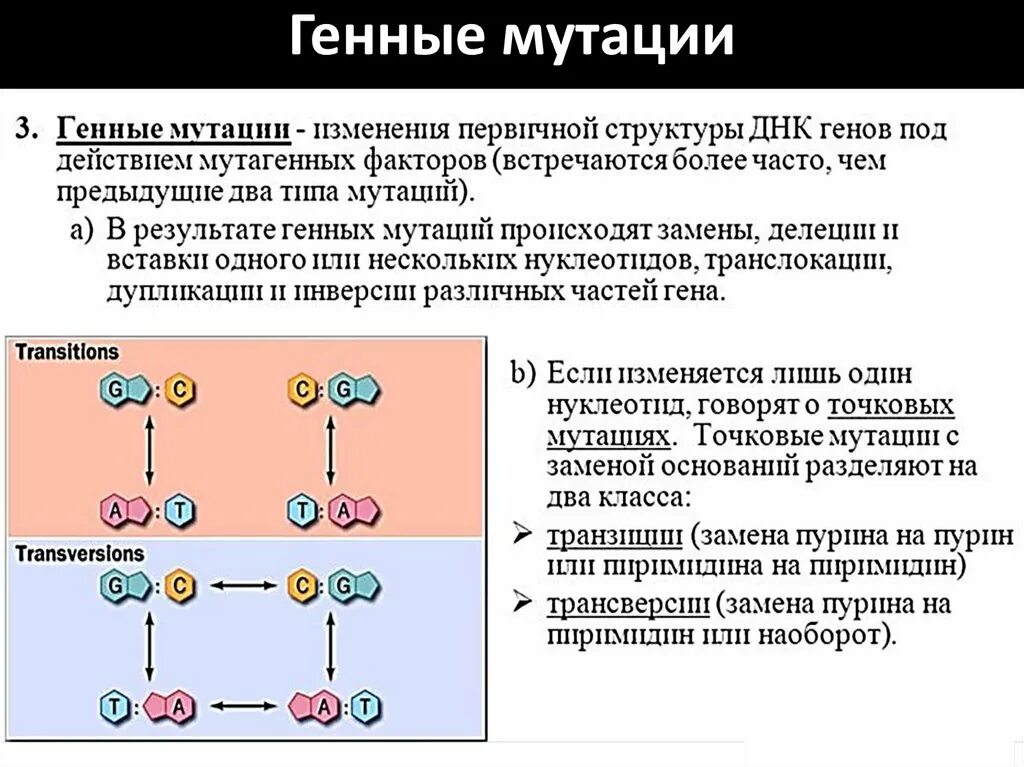 Мутации по генотипу. Мутации замены оснований. Генные мутации биохимия. Генные мутации по типу замены азотистых оснований.