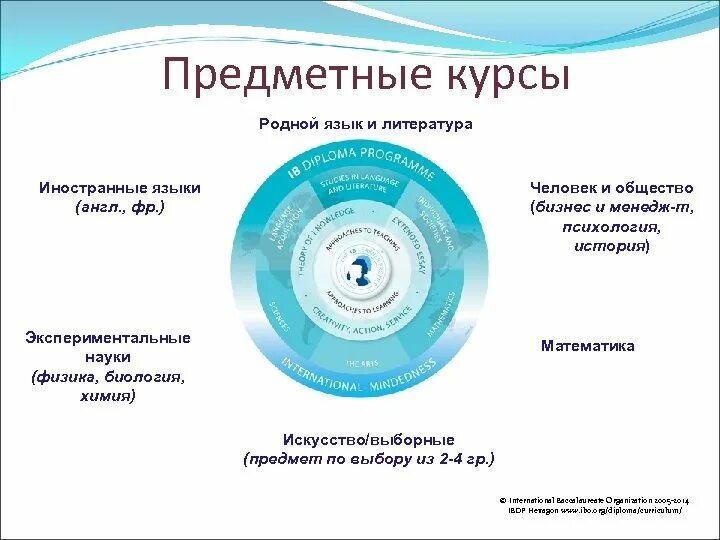 Предметные курсы. Международный бакалавриат IB. Бакалавриат иностранного языка и литературы. Ценности международного бакалавриата.