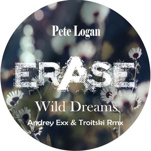 Here comes the rain andrey exx. Dream Wild. Логан дип. Exx. Andrey AXX and Troitski.