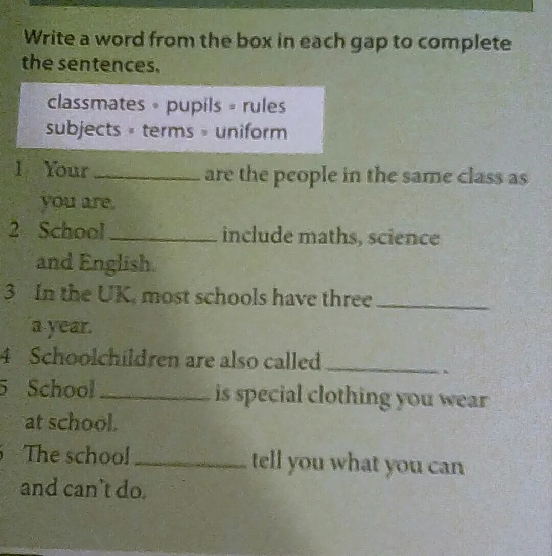 In each of the sentences below. Read and correct the sentences. Write a Word from the Box. Choose the best Word from the Word Box to complete each sentence ответы. Read and complete ответы.