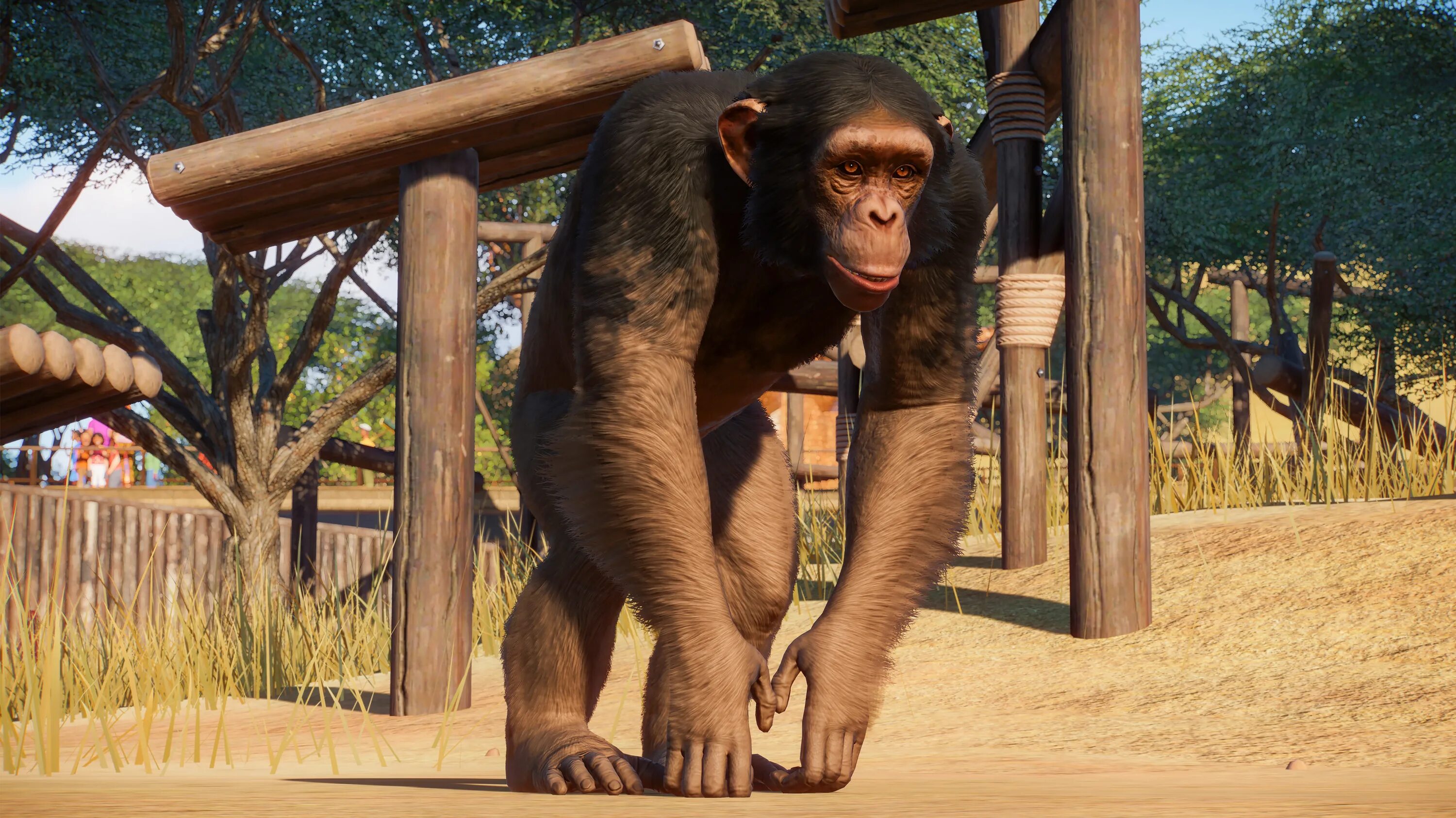 Планета Zoo игра. Planet zoo2019 игра. Планета обезьян зоо. Игра шимпанзе в зоопарке.