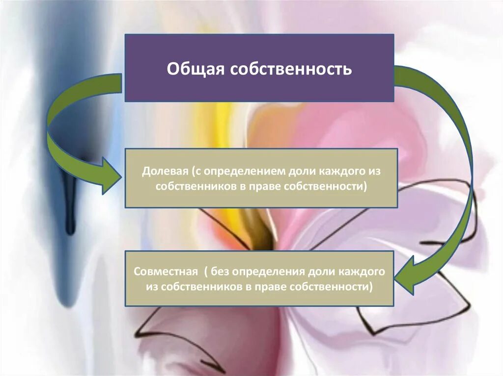 Долевая форма собственности. Порядок защиты общая собственность. Общая долевая и совместная собственность. Защита неимущественных прав.