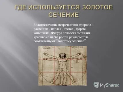 Наилучший способ раскрыть свою золотую тень