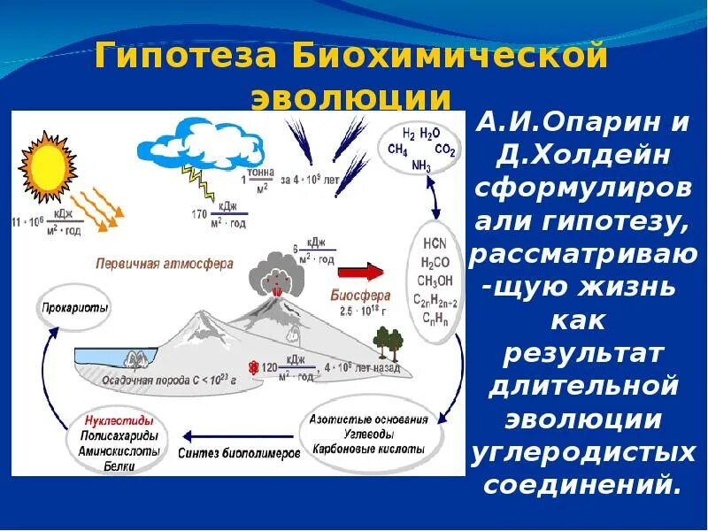 Этапы жизни по опарину. Биохимические гипотезы происхождения жизни. Биохимическая гипотеза схема. Теория биохимической эволюции Холдейн. Теории возникновения жизни биохимической эволюции.