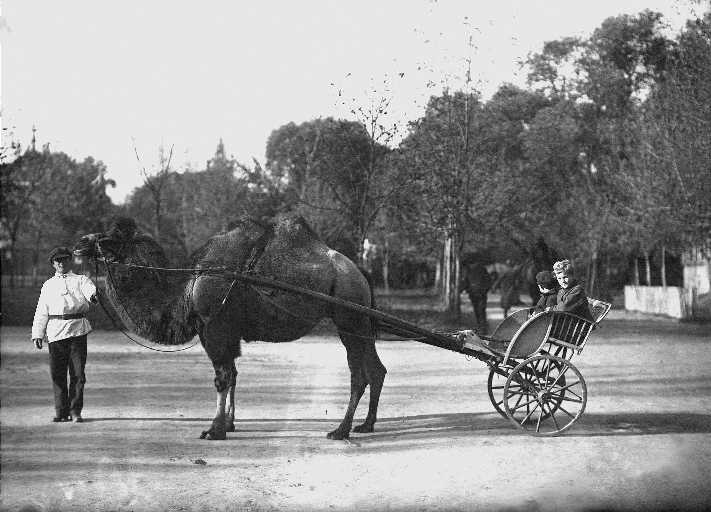 Московский зоопарк 1864 года. Московский зоосад 1864 год. Московский зоопарк 19 век. Московский зоопарк 1864 года фото. Кто организовал московский зоосад в 19 веке