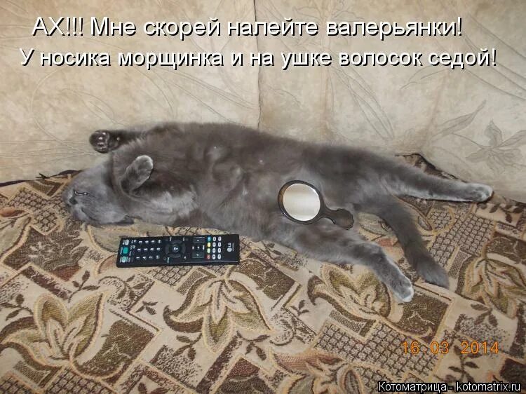 давай быстрей налей. мир труд наливай. веселая картинка выпил коньячку. открытка наливай.