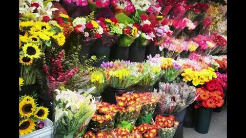 Lets flowers