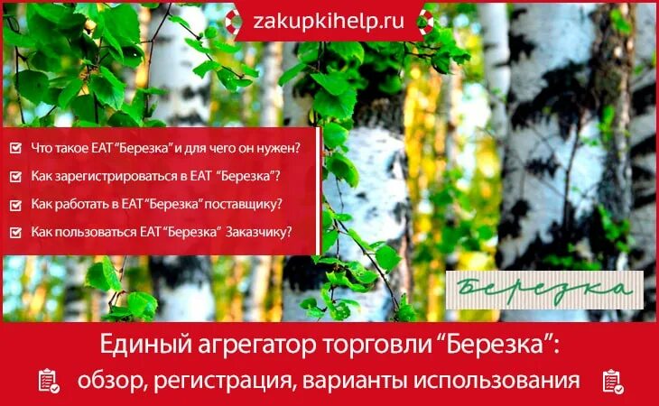 ЕАТ Березка. Березка агрегатор торговли. Берёзка ЕАТ площадка. Логотип Березка агрегатор. Закупки на еат березка