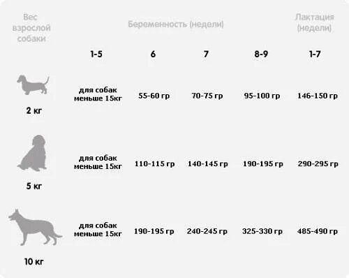 Прикорм щенков в 3 недели таблица. Прикорм щенков до 1 месяца. Схема кормления по месяцам кормления щенка. Прикорм для щенка 1,5 месяца. Беременность мелких пород