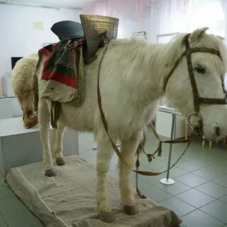 Сколько лет самому старинному музею якутии