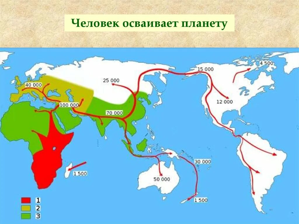 Распространение людей на земле сообщение. Расселение homo sapiens. Расселение первых людей. Карта расселения людей. Карта расселения первобытных людей.