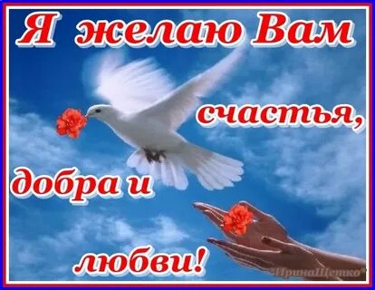 Доброго утра и мирного неба картинки