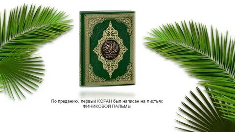 Стих лермонтова палестины