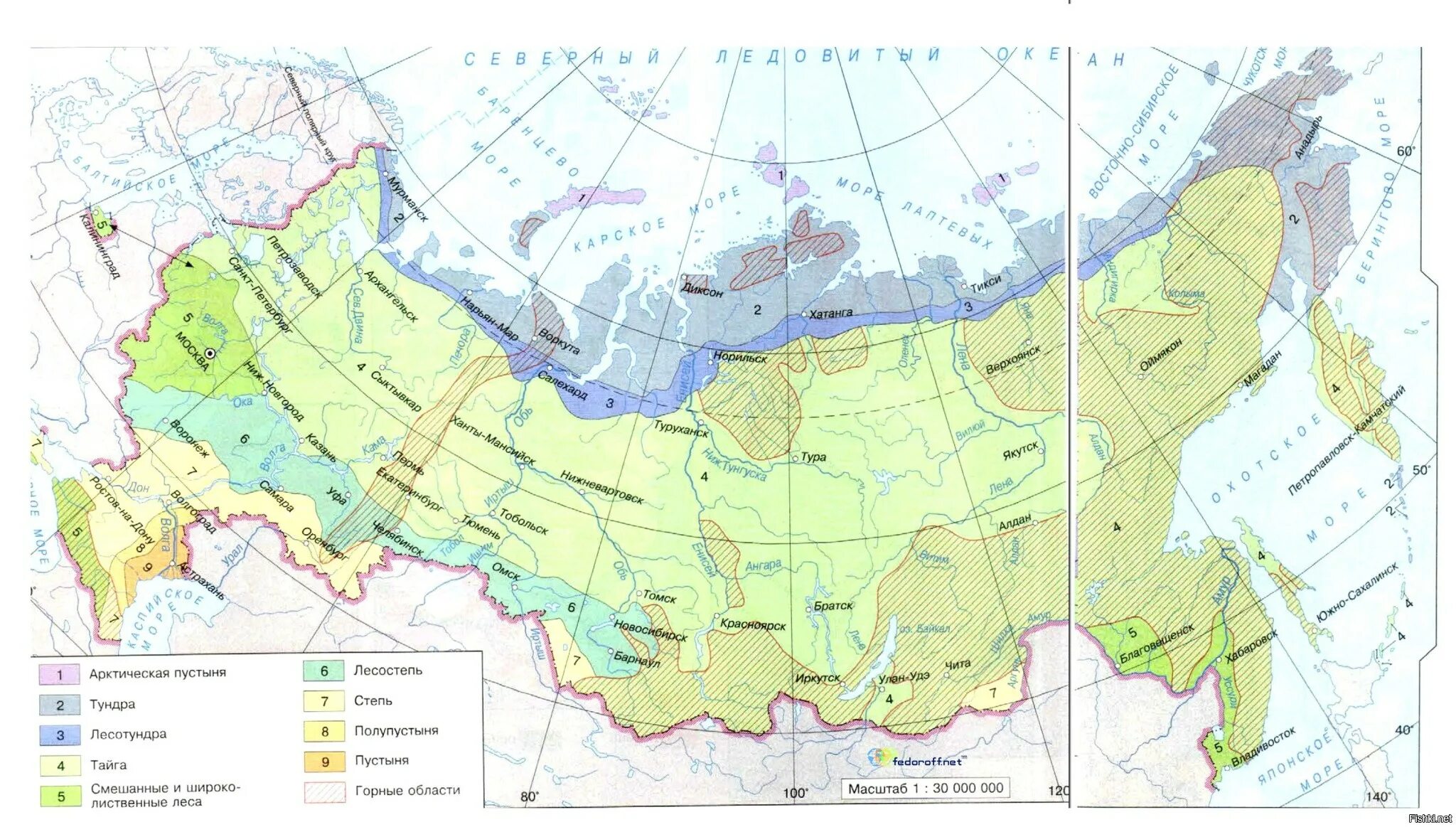 Карта зон распечатать