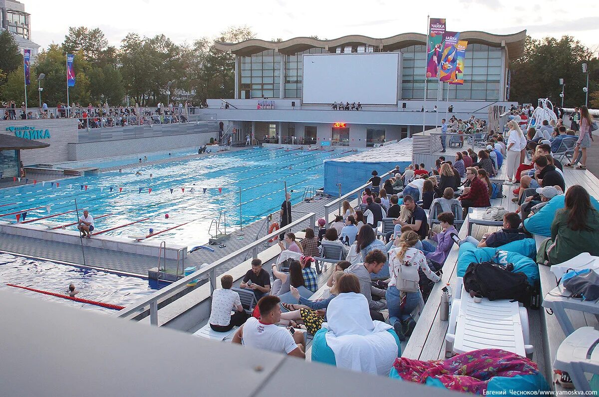 турчанинов переулок бассейн чайка в москве. бассейн москва 2022. чайка спортивный комплекс москва. бассейн чайка 2021. бассейн чайка адрес.