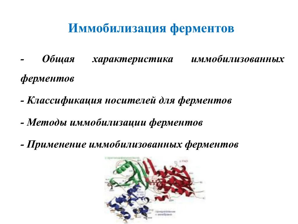 Иммобилизованные ферменты. Классификация иммобилизованных ферментов. Метод иммобилизованных ферментов. Методы иммобилизации ферментов.