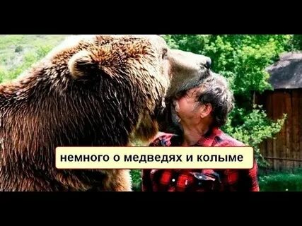 Мысли медведя