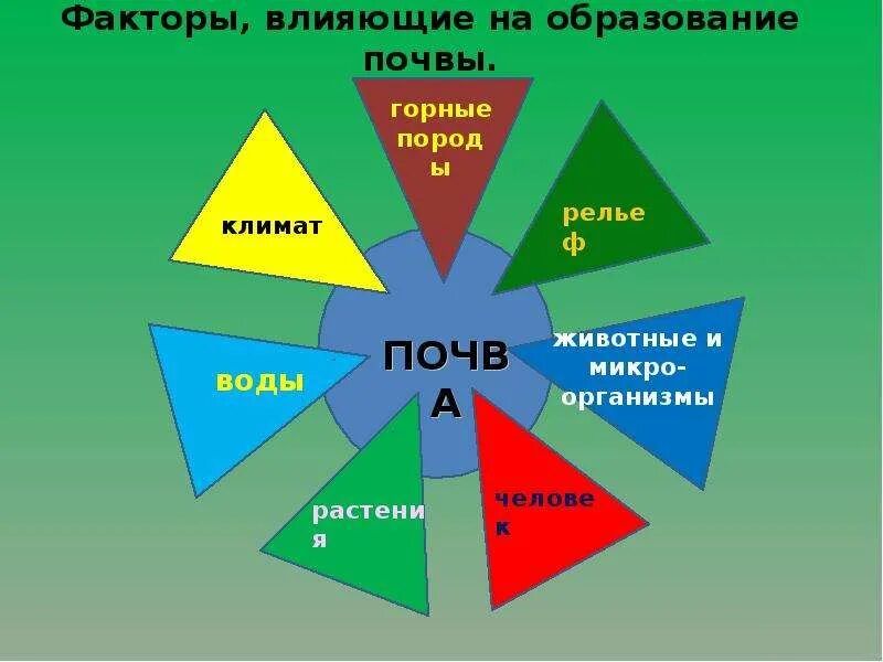 Факторы образования. Факторы влияющие на образование почвы. Условия образования почвы. Факторы влияющие на формирование почвы. Факторы ПОЧВАО образования.