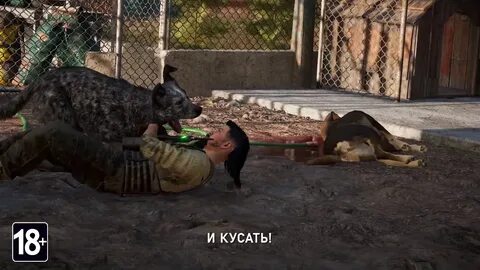 Бумер фар край