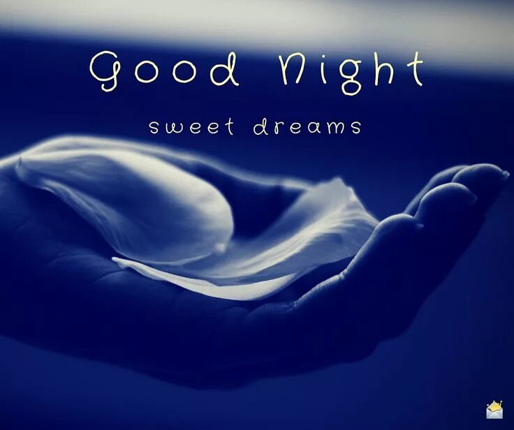 Good night!. You got it good night. You got it good night. You got it good night. Good night фото.
