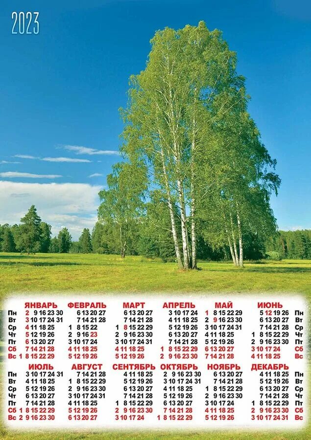 Календарь настенный. Календарь природы. Календарь на 2023 год. Настенный календарь на 2023 год.