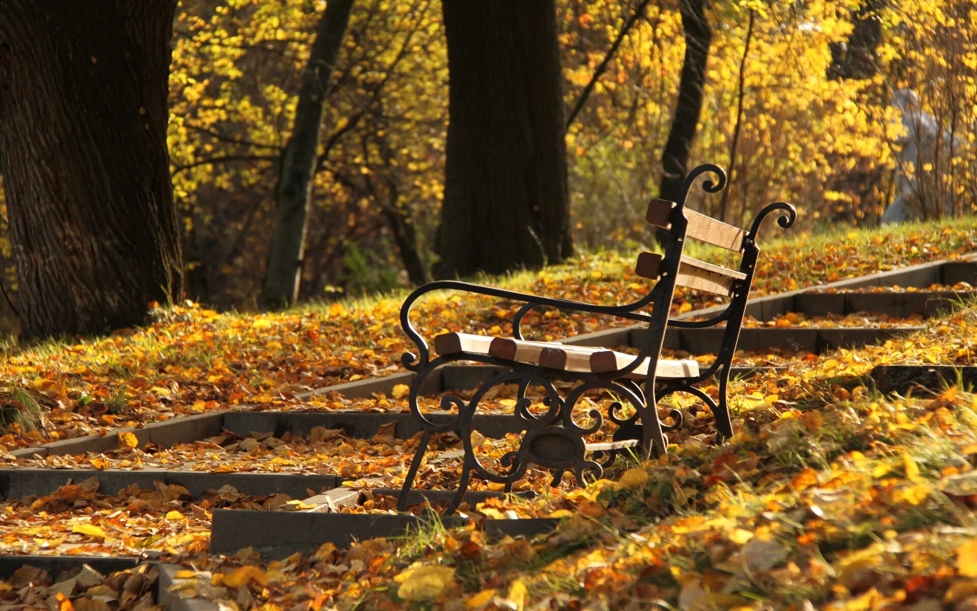 Осенний пейзаж аллея. Осенний листопад. Осенний город. Ранняя солнечная осень парк. Осенний парк.