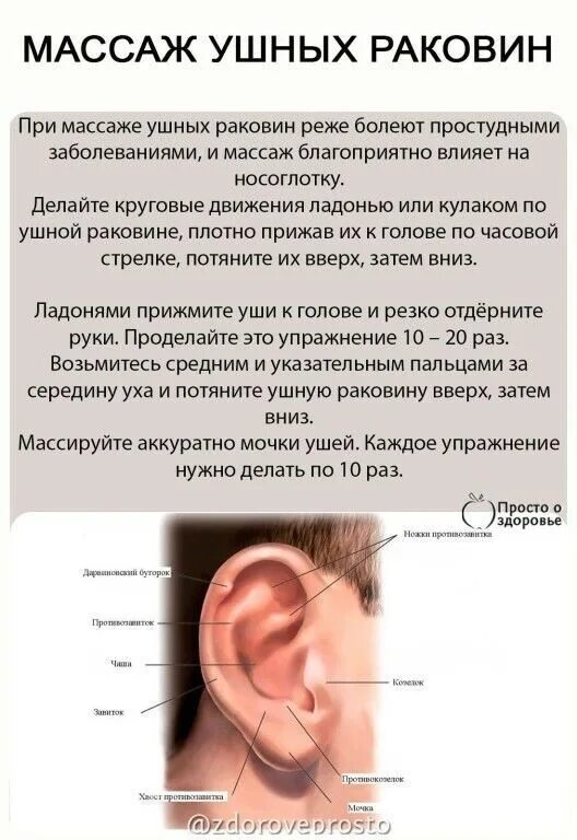 массаж для ушей для дошкольников. самомассаж ушей. массаж ушных раковин. точечный массаж при боли в ушах. как массажировать ушную раковину.