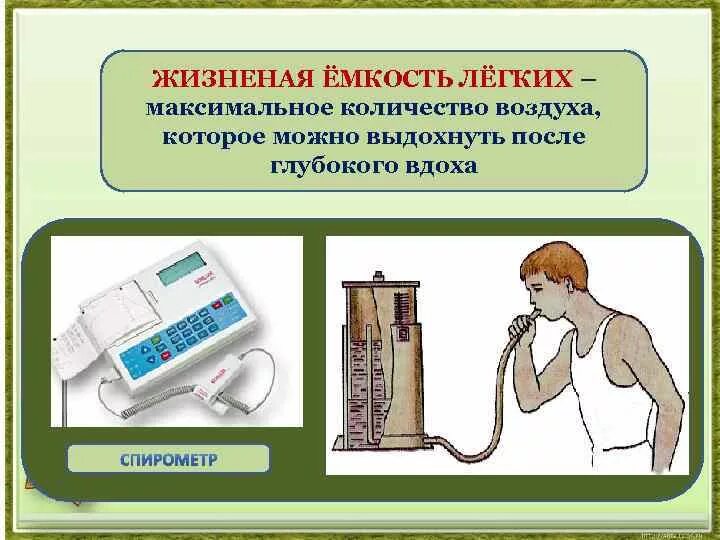 Жизненная емкость складывается из. Жизненая ёмкость легких. Спирометр физиология. Спирометр жизненная емкость легких. Емкость легких животных.