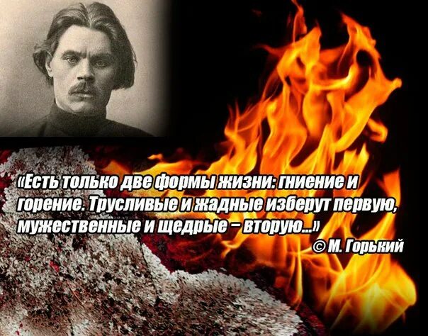 Гниение горение. Есть только две формы жизни гниение и горение. Горький есть две формы жизни гниение и горение. Есть только две формы жизни. 2 Формы жизни гниение и горение.