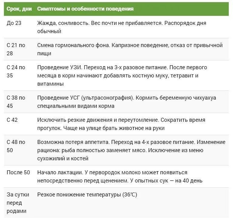 Беременность у собак Продолжительность средних пород. Беременность у собак по дням таблица. Таблица периодов беременности собак. Беременность собак мелких пород по дням. Беременность мелких пород