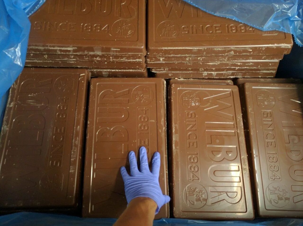 Большие кф. Большая шоколадка. Гигантская плитка шоколада. Огромная шоколадная плитка. Самая большая шоколадка.