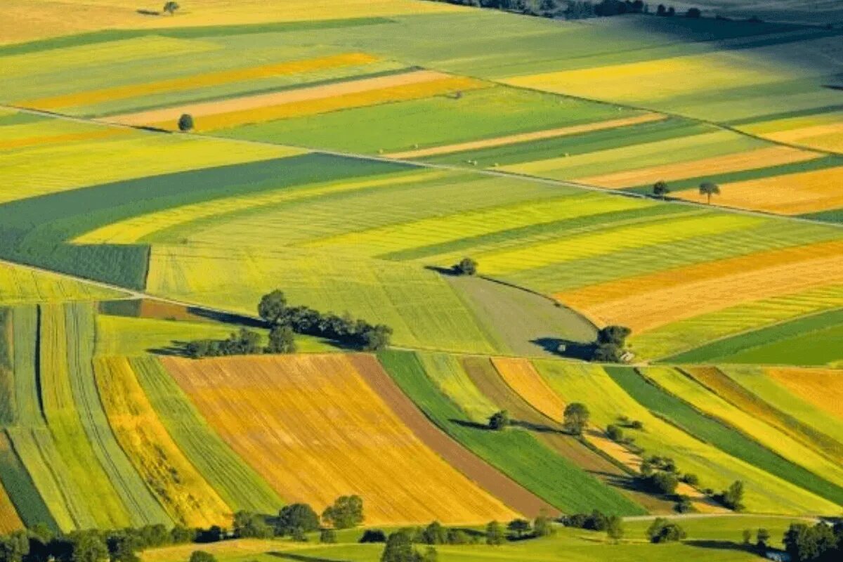 Индустриальный ландшафт агроландшафт. Поля с угодьями. Особо ценные сельскохозяйственные угодья. Сельскохозяйственные земли. Земельные ресурсы.