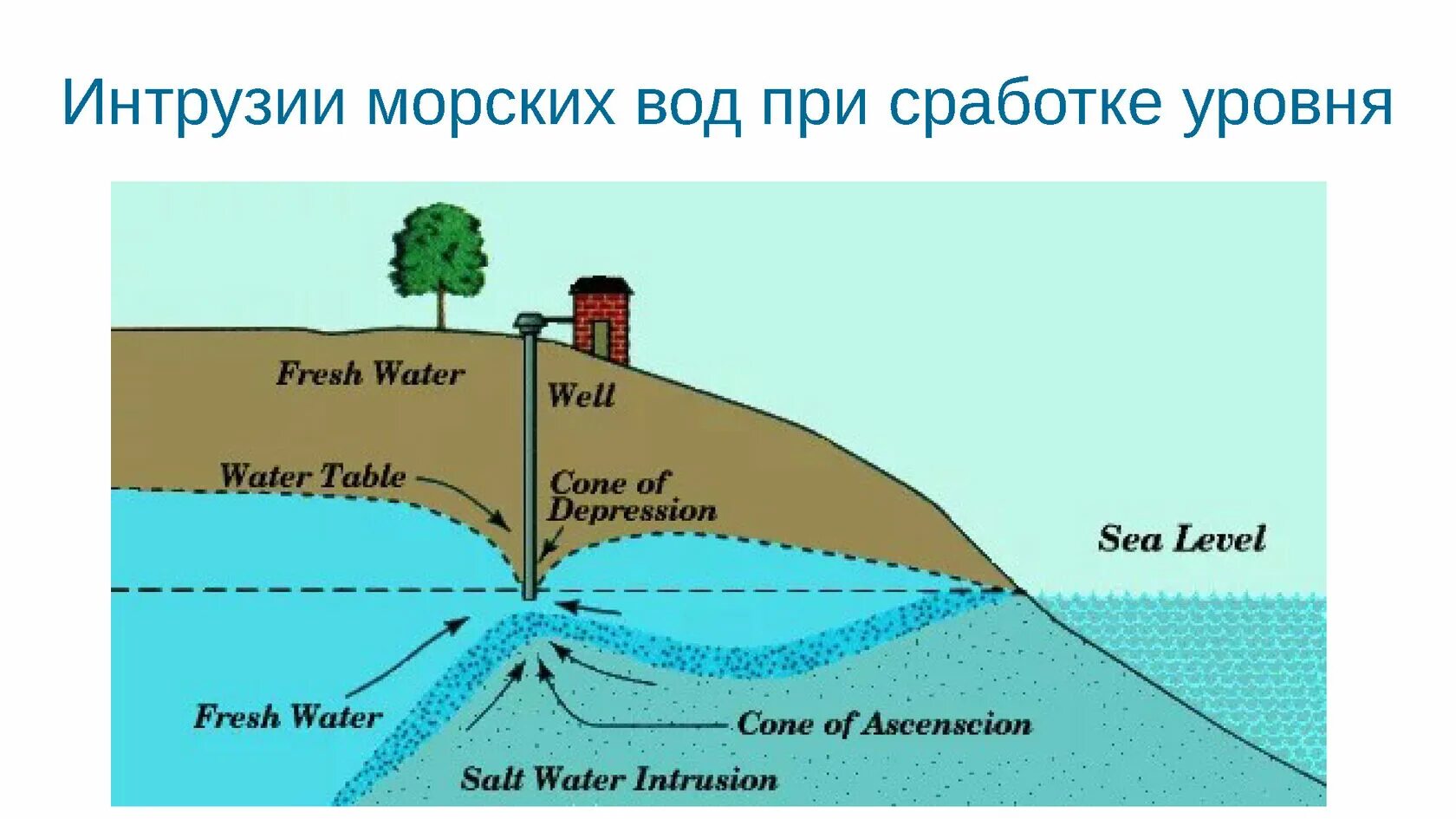 Получают из морской воды. Интрузия морских вод. Водоносный Горизонт. Salt Water Intrusion. Интрузии морских вод в питьевые горизонты.