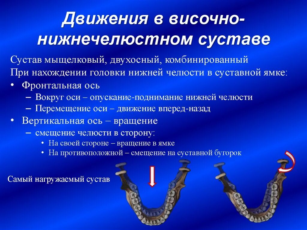 Подвижное соединение челюстей. Височно-нижнечелюстной сустав движения. Височно-нижнечелюстной сустав оси движения. Движение височно нижно челюстного сустава. Движение нижнечелюстного сустава.