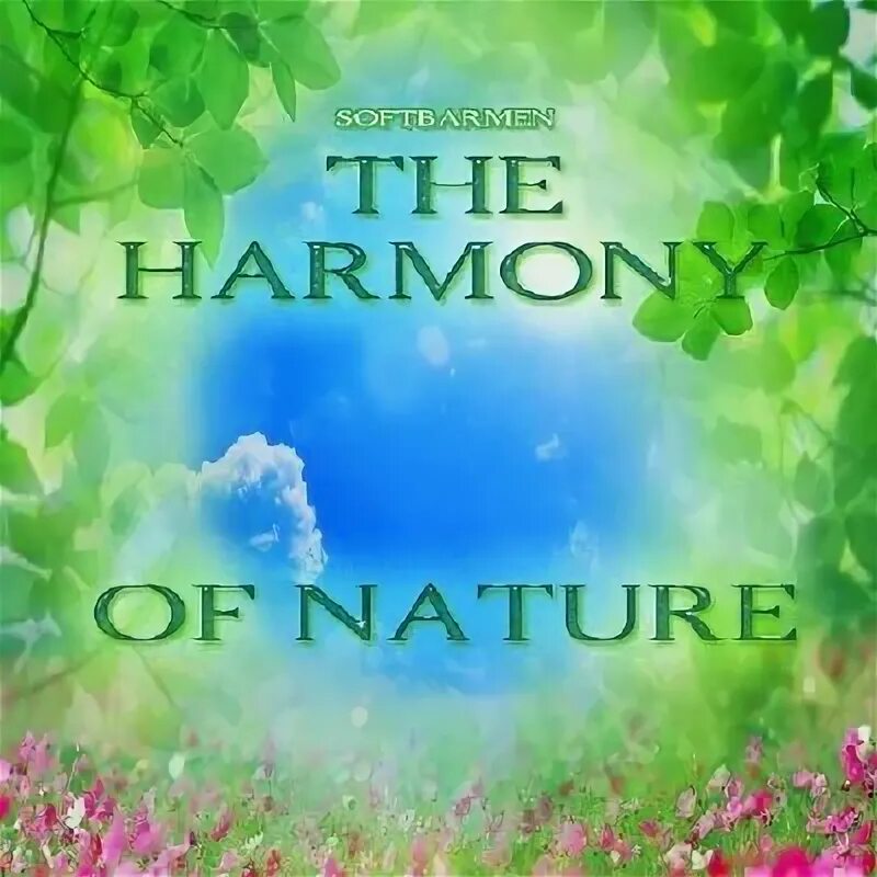 Harmony nature. Пакет с надписью Harmony of the nature. Legs Harmony nature. Natural 2011