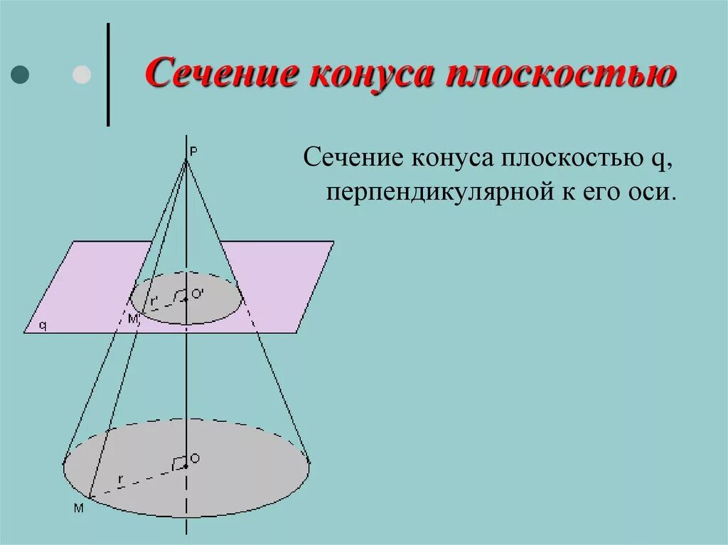 Сечение параллельное основанию является. Сечение конуса плоскостью. Конус на плоскости. Конус сечения конуса плоскостями. Ось конуса перпендикулярна.