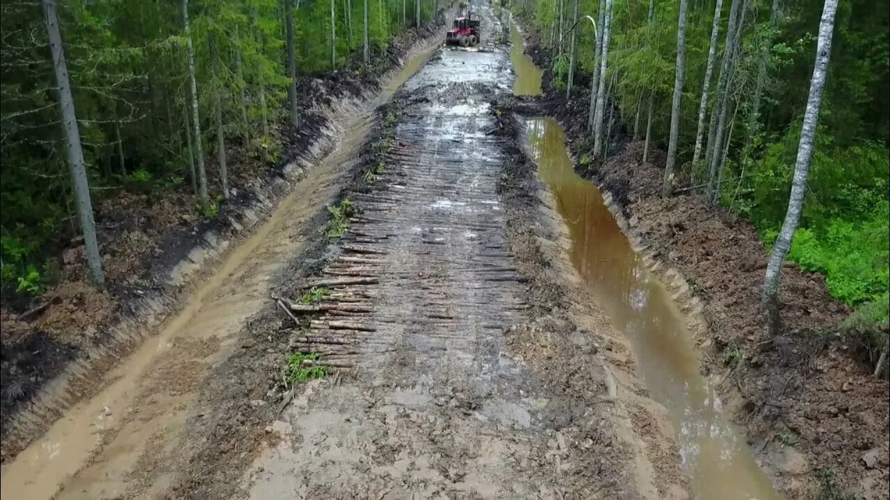 Дорога была проложена через. Лежневка Гать. Лежневка газопровод. Лесовозные дороги. Лесные дороги лежневки.