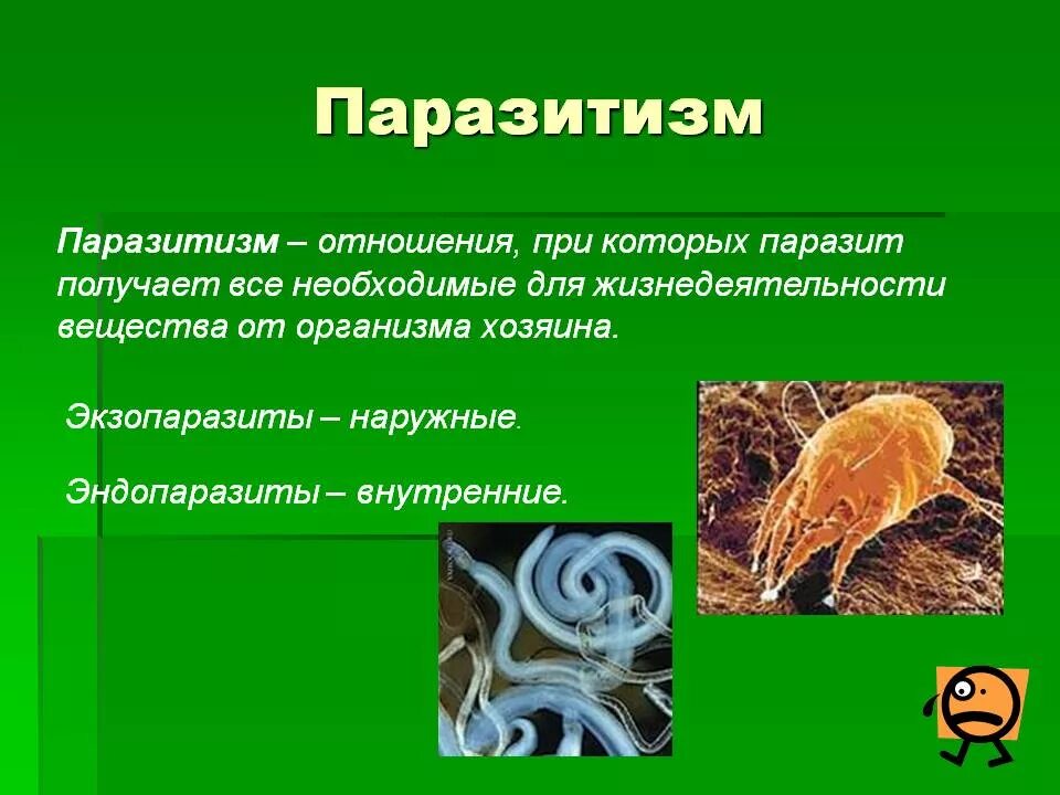 Что такое паразитизм. Паразитизм это в биологии 7 класс. биотические факторы паразитизм. паразитизм это в биологии. паразитизм определение.