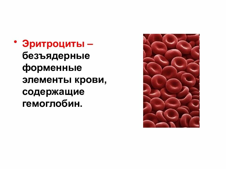 Форменные элементы эритроцитов. Безъядерные форменные элементы крови содержащие. форменные элементы крови гемоглобин. форменные элементы крови содержащие гемоглобин называются. форменные элементы крови, содержащие гемоглобин.