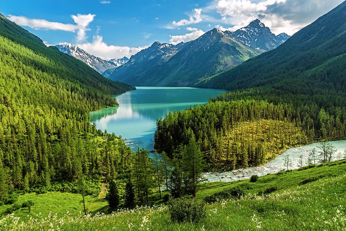 Хорошее алтайский край. Озеро каракуль алтай. Кучерлинские озёра, алтай. Река катунь горный алтай. Хорошее алтайский край.
